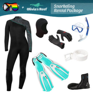 VQD Snorkeling Rental Package